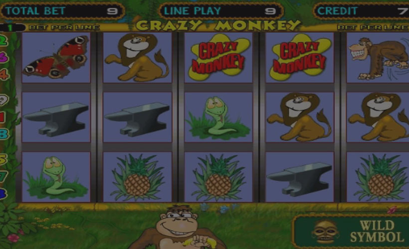 Crazy monkey pacanele free play